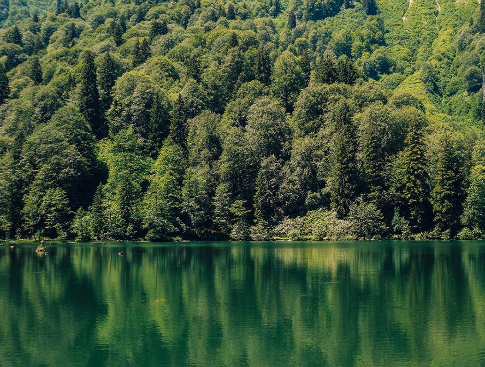 KÜRE DAĞLARI MİLLİ PARKI-KASTAMONU1