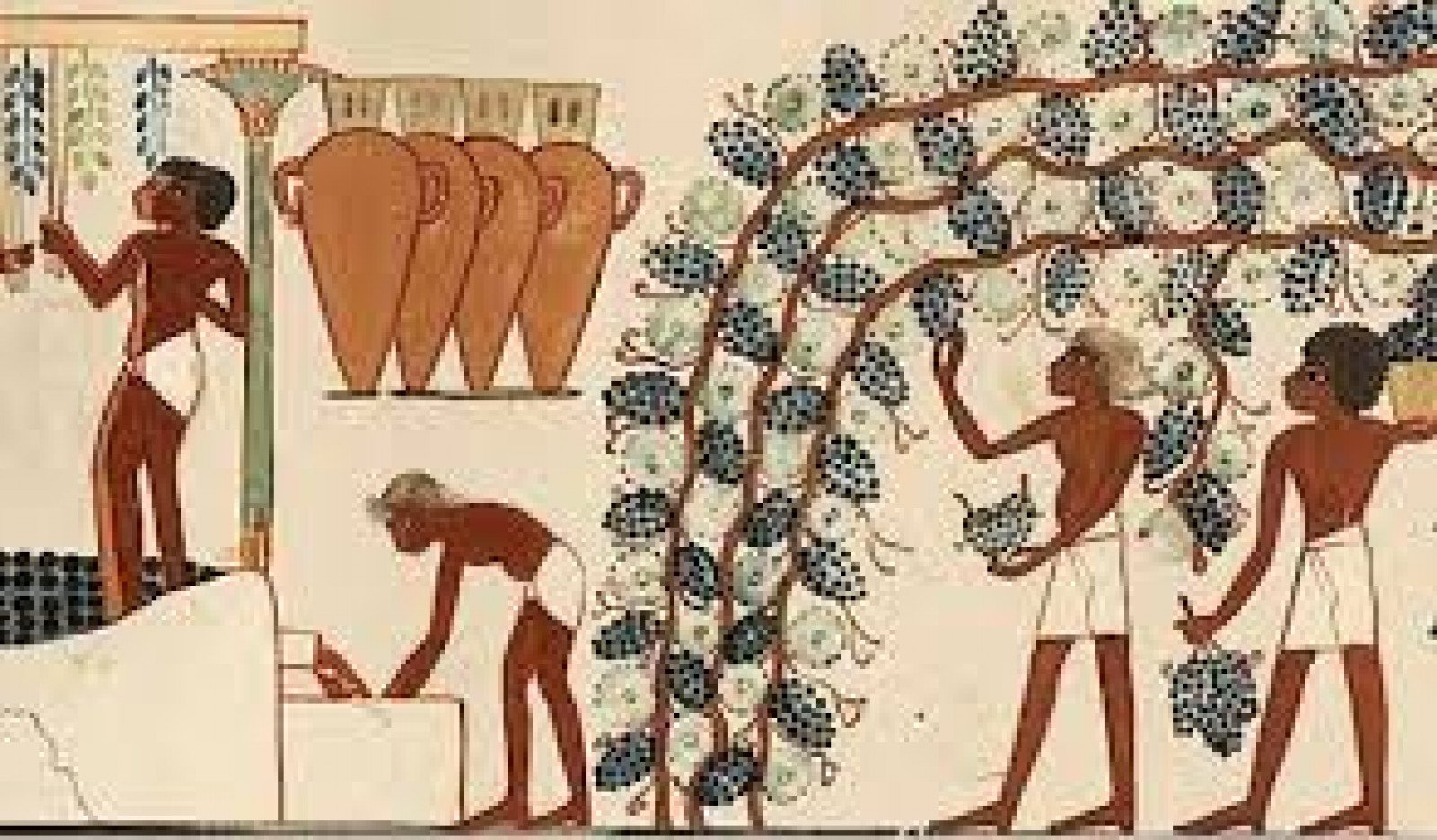 Знать в древние времена. Хозяйство древнего Египта земледелие. Земледелие в древнем Египте. Скотоводство в древнем Египте. Вино и виноделие в древнем мире.
