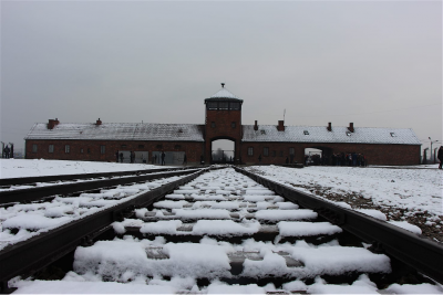 AUSCHWITZ – BIRKENAU